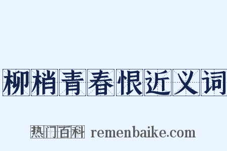 柳梢青春恨近义词是什么意思的图片